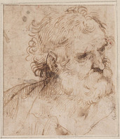 K I 043
<br/>
Manskop, met baard
<br/>
<em>Tiziano Vecellio (1488/90-1576) - toegeschreven aan</em>